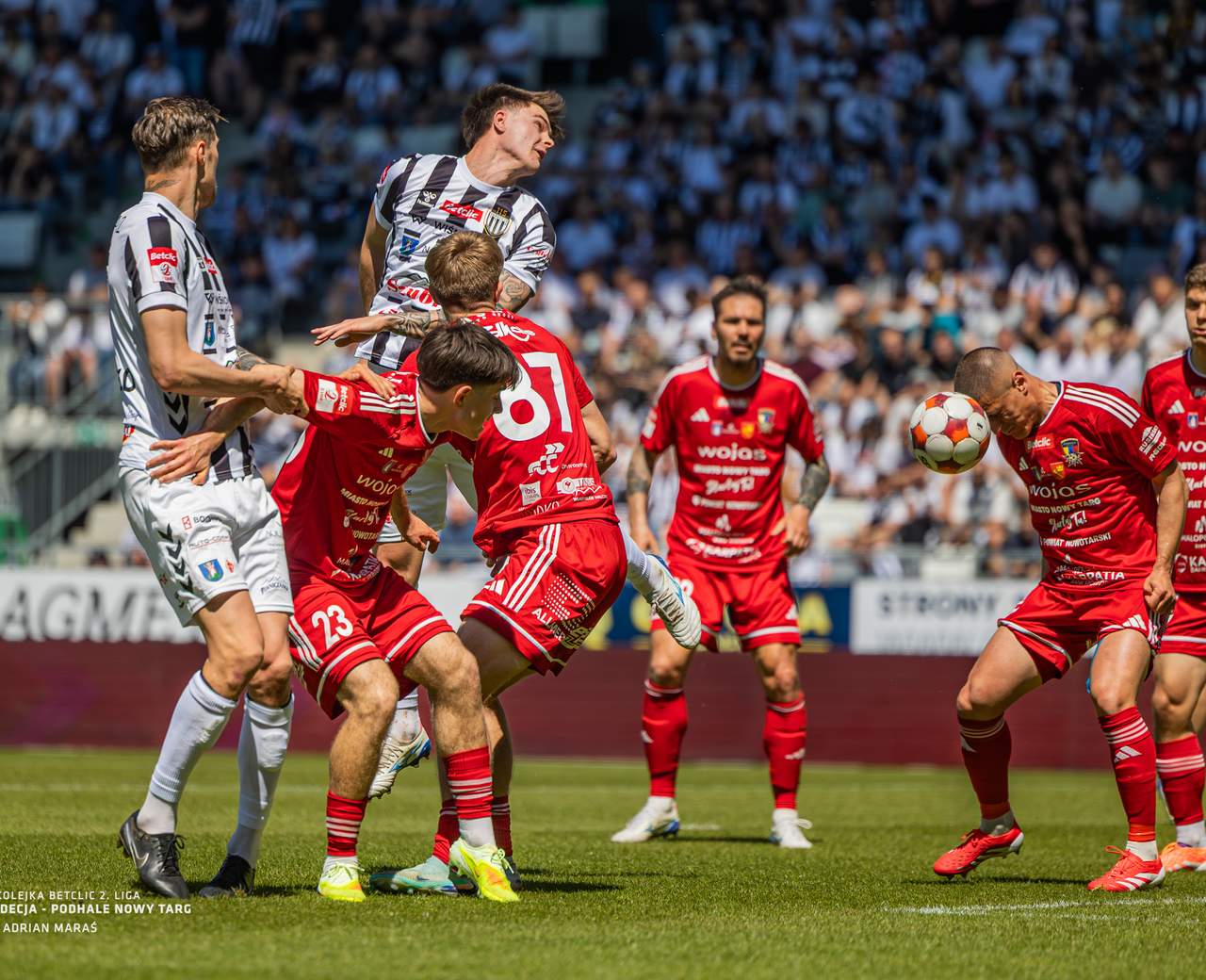 Sandecja i Podhale w bezpośrednim starciu o awans: różnica jednego punktu przed meczem 3 maja — image 5